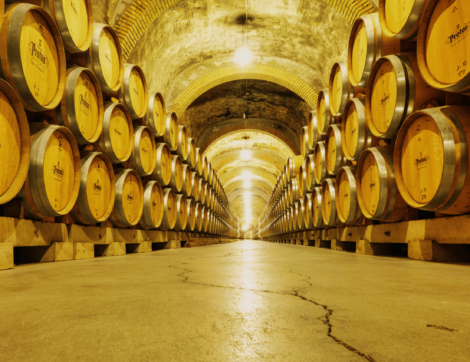 Bekannte Spanische Weine