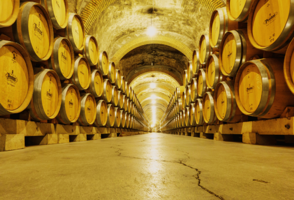 Bekannte spanische Weine: Die besten Weine aus Spanien für jedes Budget