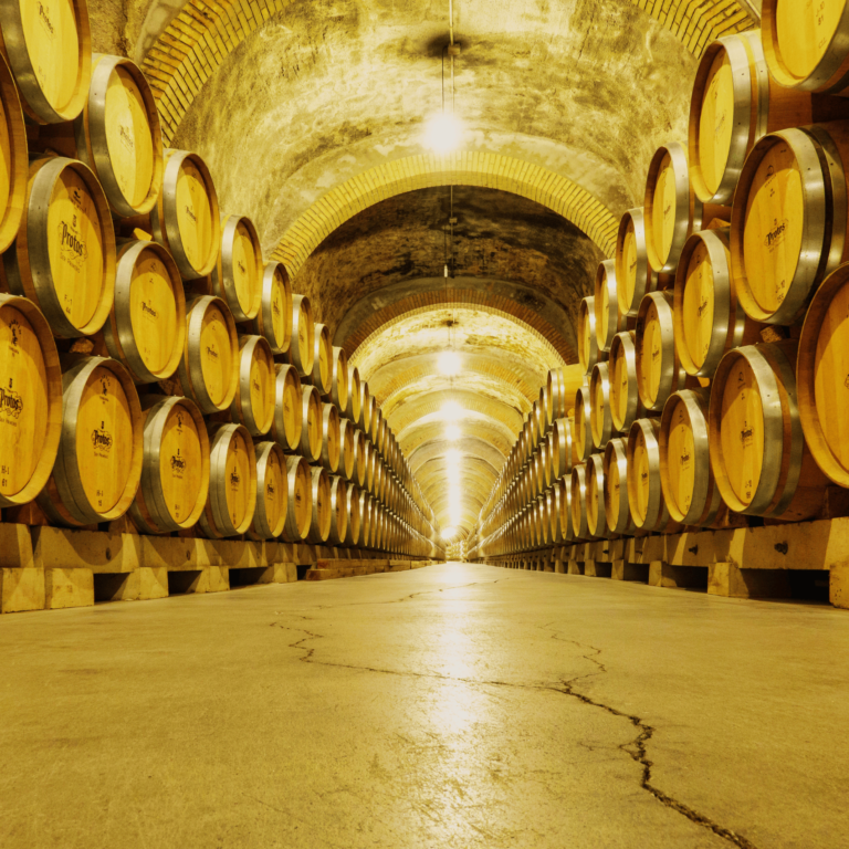 Bekannte spanische Weine: Die besten Weine aus Spanien für jedes Budget
