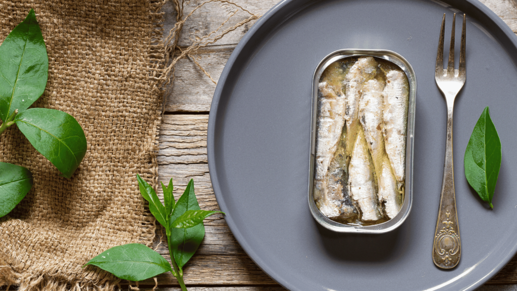 Unterschied Zwischen Sardinen Und Sardellen Sardellen oder Sardinen: Unterschiede & Geschmack von beiden