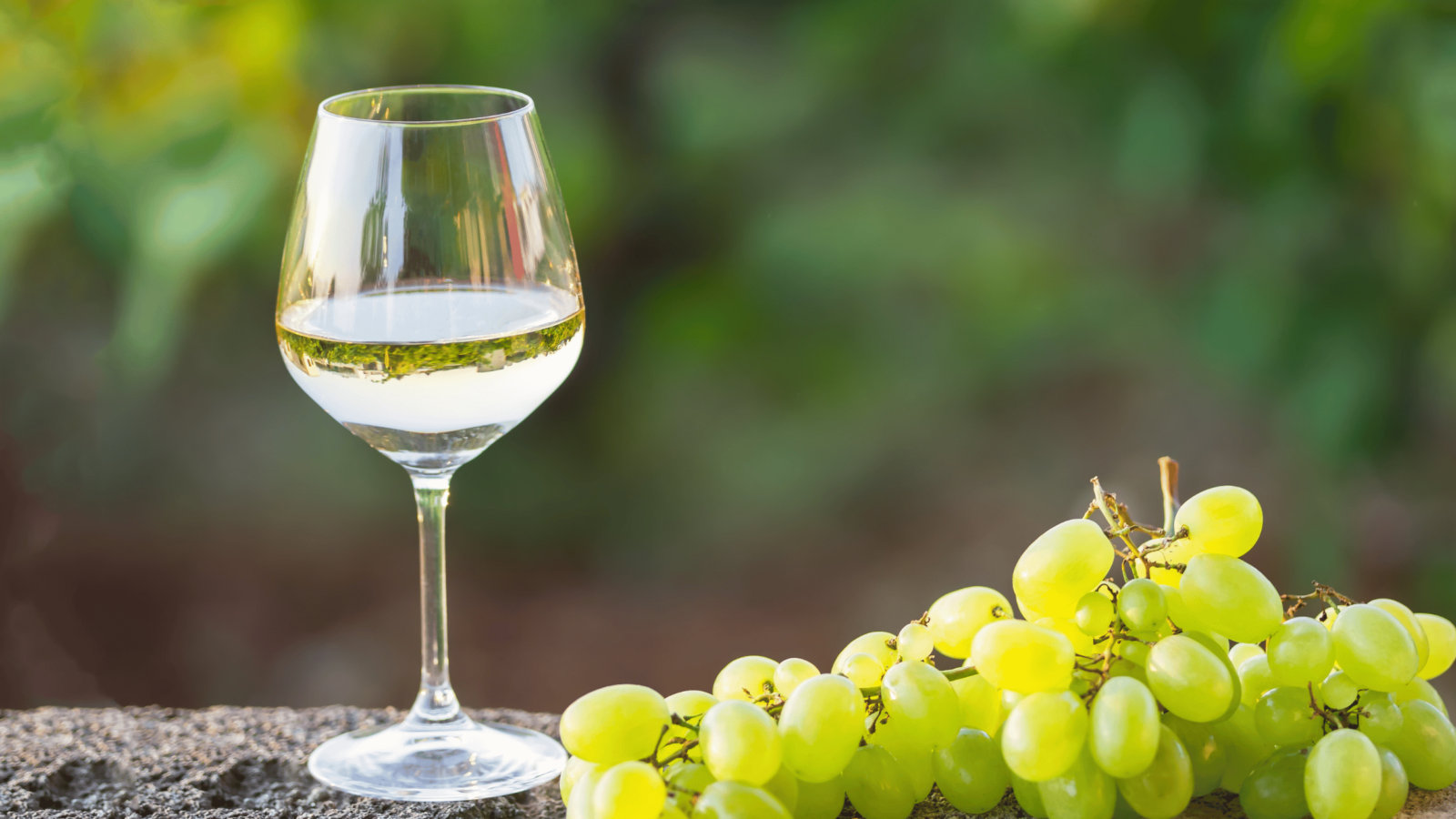 Spanischer Weißwein
