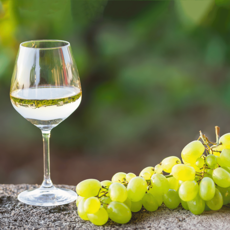 Spanischer Weißwein: Vielfalt und Genuss aus Spanien