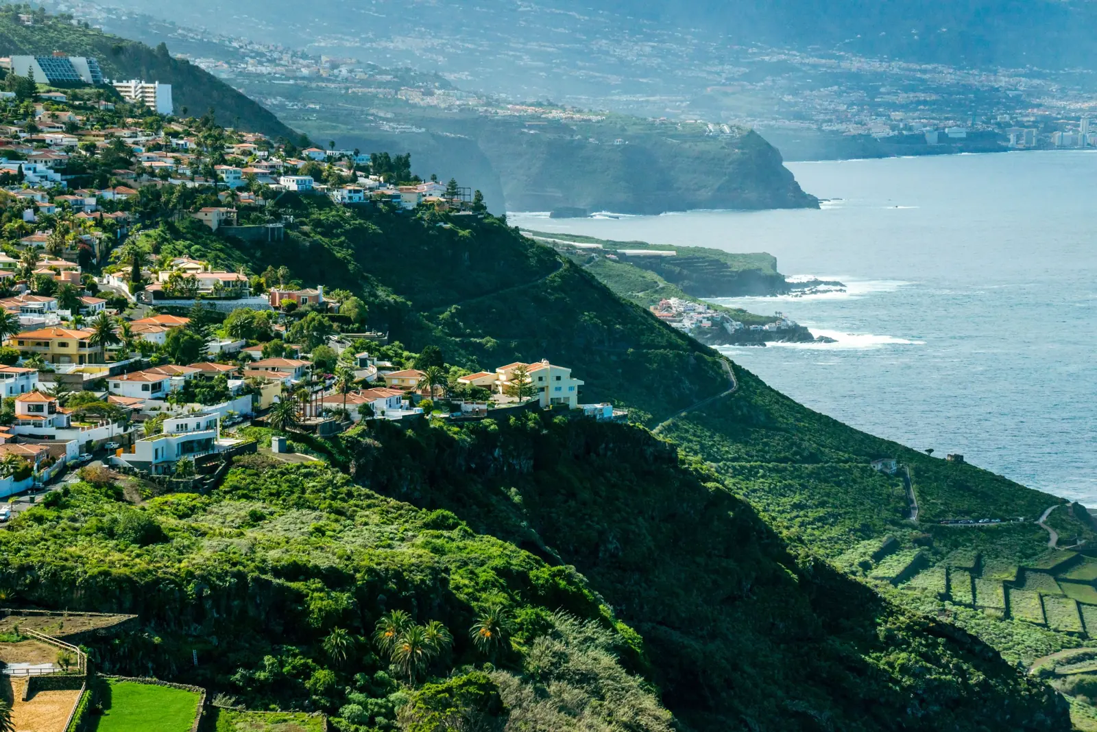 Grüne Hänge mit Feldern und Häusern über den Klippen von El Sauzal an der Nordküste Teneriffas