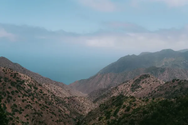 Almogrote: die Käsepaste von La Gomera