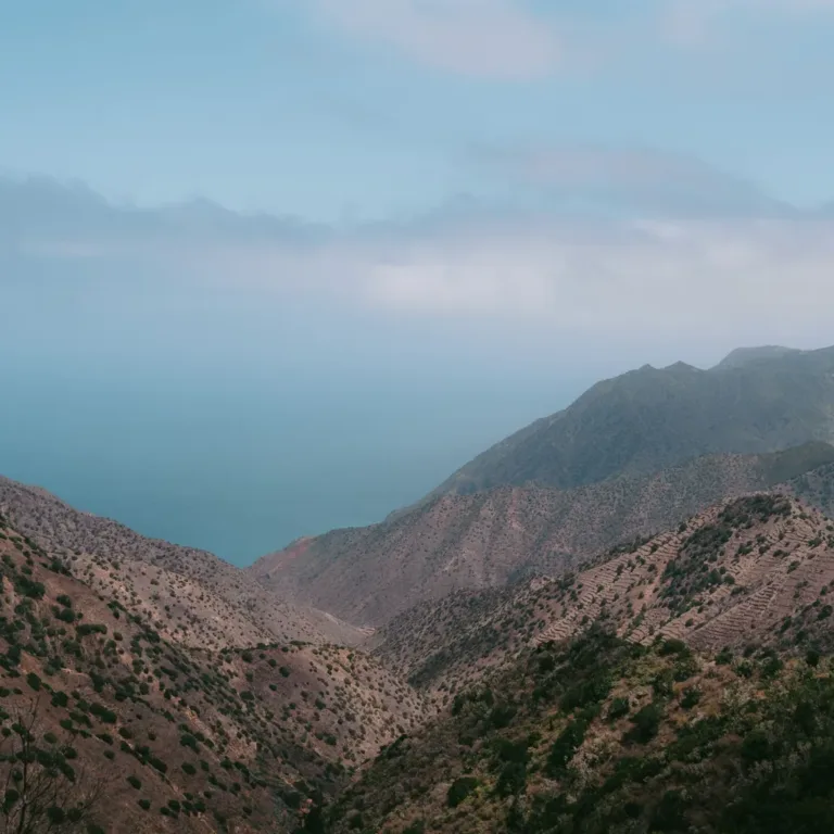 Almogrote: die Käsepaste von La Gomera