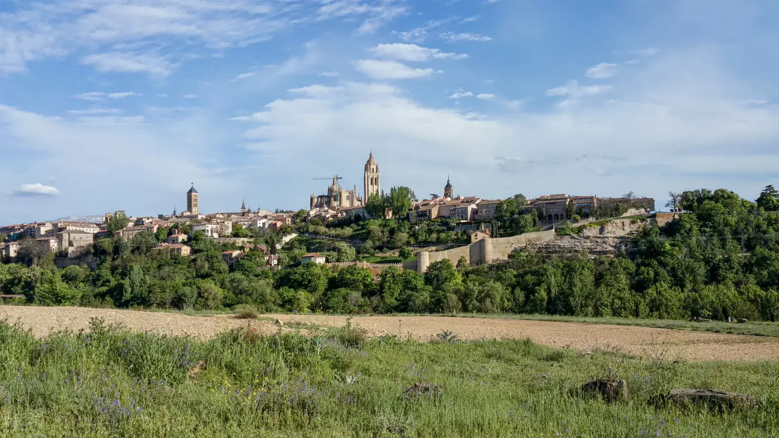 Blick über ein Feld auf die Altstadt von Segovia mit der Kathedrale